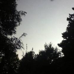 Crescent Days : Lost in the Dark Woods